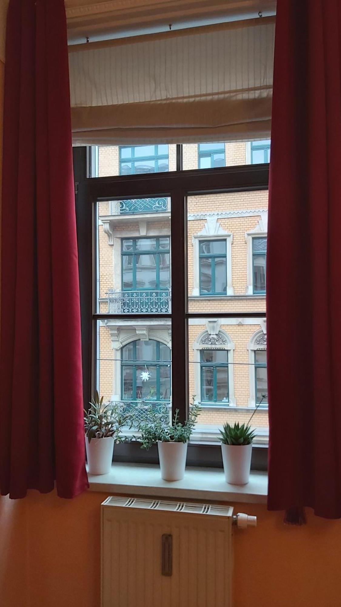 City-Ferienwohnungen-Dresden - Zentral Gelegen Im Haus Louisenstrasse 11 - Dresden-Neustadt Екстер'єр фото