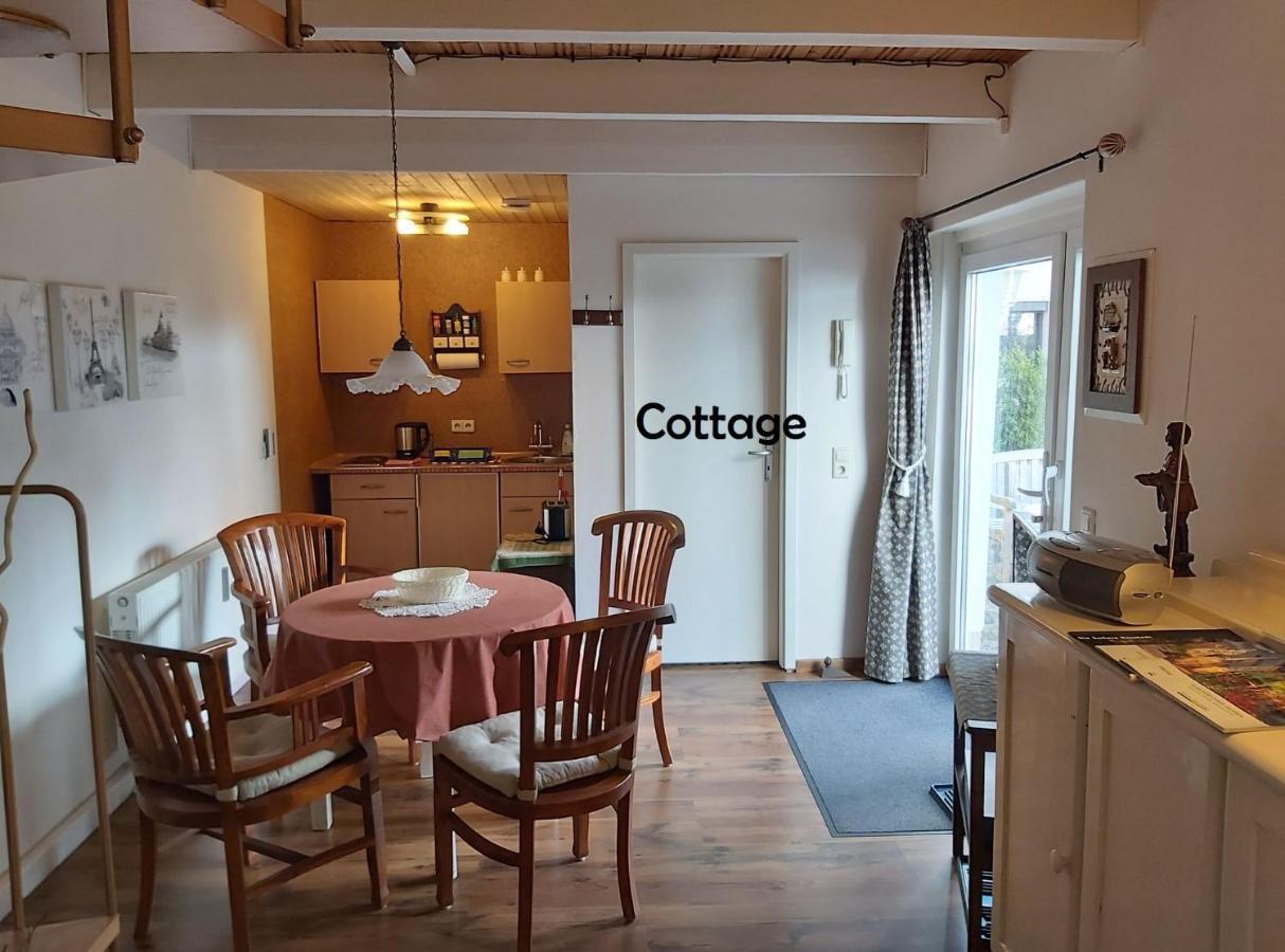 City-Ferienwohnungen-Dresden - Zentral Gelegen Im Haus Louisenstrasse 11 - Dresden-Neustadt Екстер'єр фото